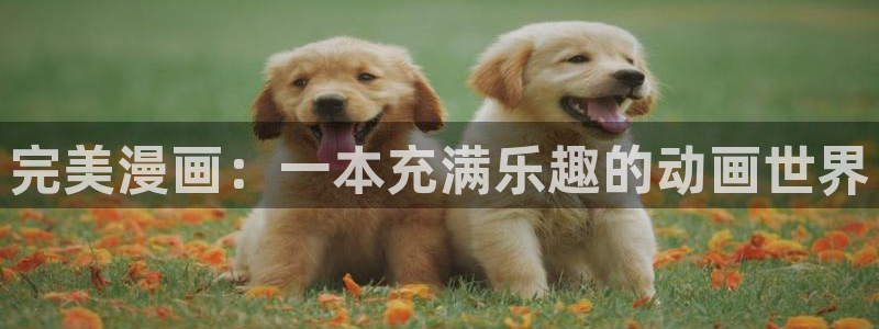 汗汗漫画最新网址：完美漫画：一本充满乐趣的动画世界