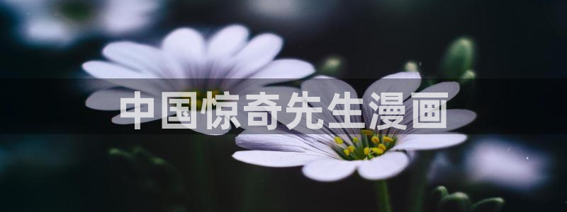 汗汗漫画网sss：中国惊奇先生漫画